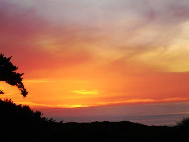View from the terrace
