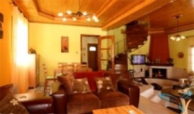 Villa in ELATI (Trikala) or holiday homes and vacation rentals