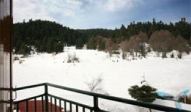 Villa in ELATI (Trikala) or holiday homes and vacation rentals