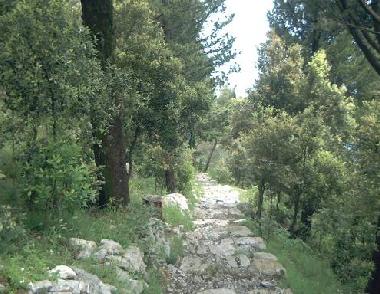 Mountain excursion 