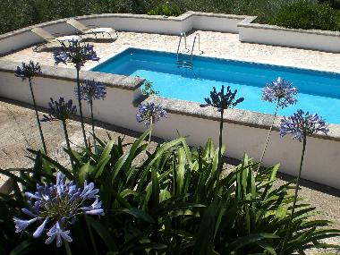 Holiday Apartment in Cisternino (Brindisi) or holiday homes and vacation rentals
