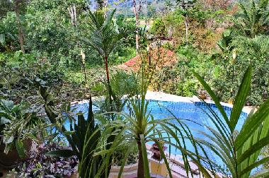 Villa in naithon (Phuket) or holiday homes and vacation rentals