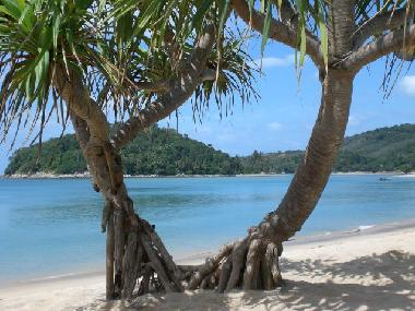 Villa in naithon (Phuket) or holiday homes and vacation rentals