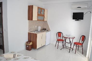 Villa in Ohrid (Ohrid) or holiday homes and vacation rentals