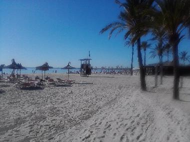 Holiday Apartment in Pto.Alcudia (Mallorca) or holiday homes and vacation rentals