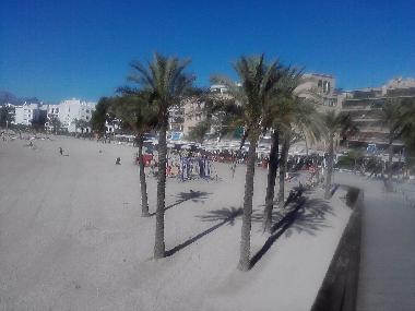 Holiday Apartment in Pto.Alcudia (Mallorca) or holiday homes and vacation rentals