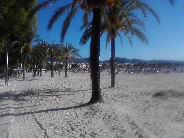 Holiday Apartment in Pto.Alcudia (Mallorca) or holiday homes and vacation rentals