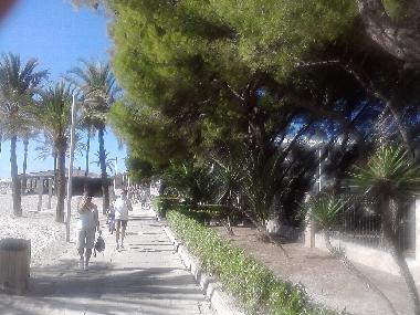 Holiday Apartment in Pto.Alcudia (Mallorca) or holiday homes and vacation rentals