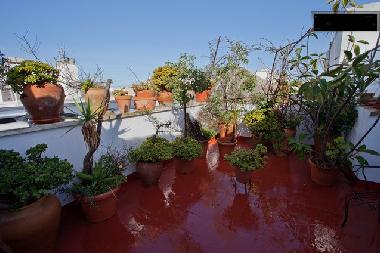 Holiday Apartment in Cdiz (Cdiz) or holiday homes and vacation rentals