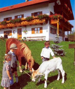 Holiday House in Rohaupten (Bavarian Swabia) or holiday homes and vacation rentals