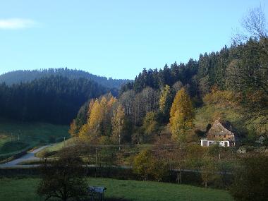 Holiday House in Schenkenzell (Black Forest) or holiday homes and vacation rentals