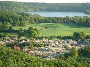 Holiday House in Krummsee (Holsteinische Schweiz) or holiday homes and vacation rentals