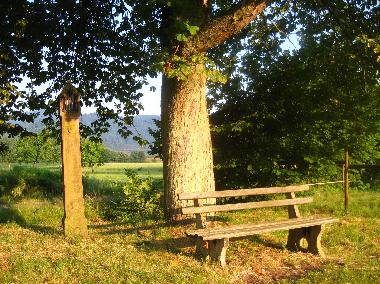 Holiday House in Biberach/Baden (Black Forest) or holiday homes and vacation rentals