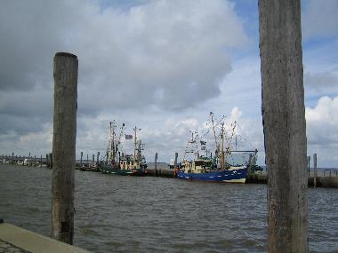 Holiday Apartment in Dagebll (Nordsee-Festland) or holiday homes and vacation rentals