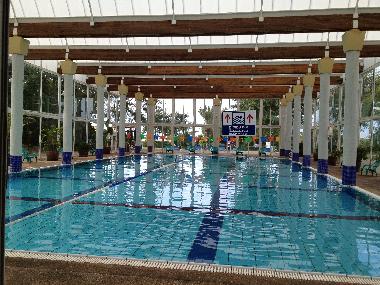 the pool