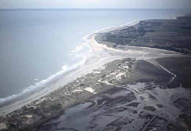 Holiday House in Cadzand (Zeeland) or holiday homes and vacation rentals