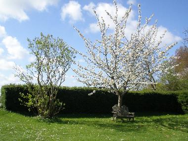 Holiday House in Oostburg (Zeeland) or holiday homes and vacation rentals