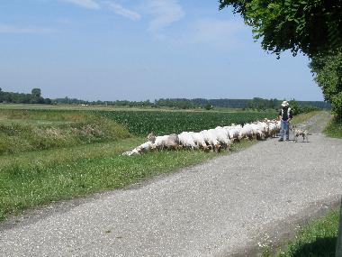 Holiday House in Oostburg (Zeeland) or holiday homes and vacation rentals