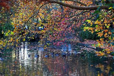 Holiday Apartment in LA ROCHELLE (Charente-Maritime) or holiday homes and vacation rentals