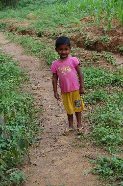 Holiday House in Koslanda (Badulla) or holiday homes and vacation rentals