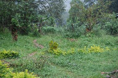 Holiday House in Koslanda (Badulla) or holiday homes and vacation rentals