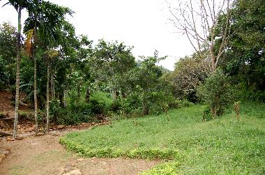Holiday House in Koslanda (Badulla) or holiday homes and vacation rentals