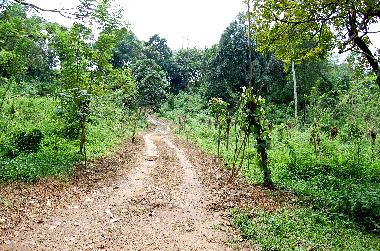 Holiday House in Koslanda (Badulla) or holiday homes and vacation rentals