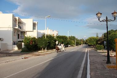 Holiday Apartment in Hammamet (Nabul) or holiday homes and vacation rentals