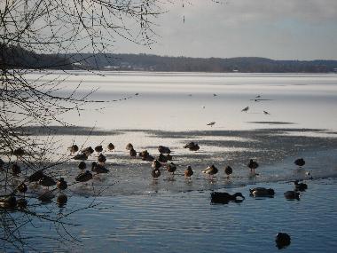 Holiday Apartment in Krummsee (Holsteinische Schweiz) or holiday homes and vacation rentals