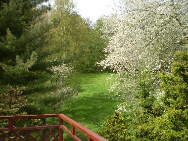 Holiday Apartment in Malente-Krummsee (Holsteinische Schweiz) or holiday homes and vacation rentals