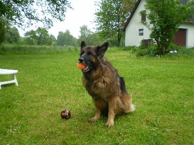 Holiday Apartment in Malente-Krummsee (Holsteinische Schweiz) or holiday homes and vacation rentals