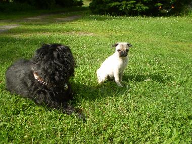 Holiday Apartment in Malente-Krummsee (Holsteinische Schweiz) or holiday homes and vacation rentals
