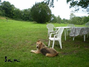 Holiday Apartment in Malente-Krummsee (Holsteinische Schweiz) or holiday homes and vacation rentals