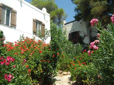 Holiday Apartment in Poros, Trizinias (Argolida) or holiday homes and vacation rentals