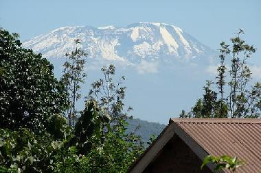 mt. kilimanjaro as seen from the cottages