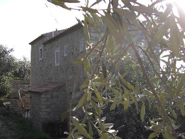 Holiday House in Glossa (Magnisia) or holiday homes and vacation rentals