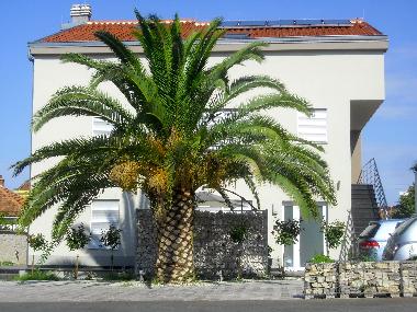 Holiday House in Zadar (Zadarska) or holiday homes and vacation rentals