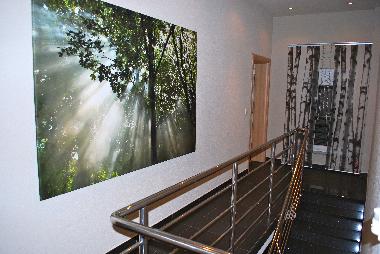 Holiday House in Zadar (Zadarska) or holiday homes and vacation rentals