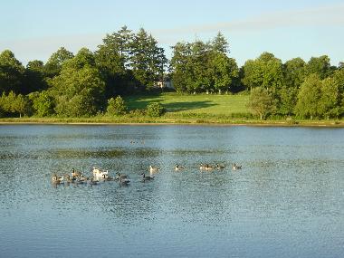 Holiday House in Langoelan (Morbihan) or holiday homes and vacation rentals