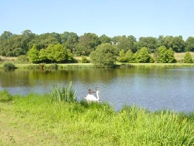 Holiday House in Langoelan (Morbihan) or holiday homes and vacation rentals