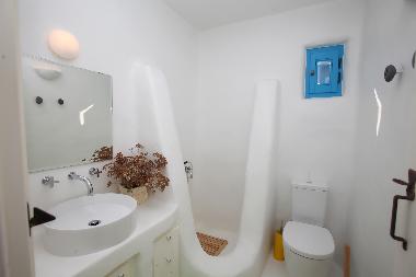 Main House, lower floor bathroom