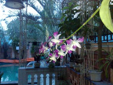 Holiday House in NHA TRANG (Khanh Hoa) or holiday homes and vacation rentals