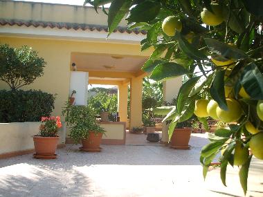 Villa in siracusa (Siracusa) or holiday homes and vacation rentals