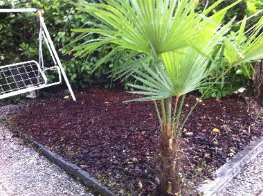 Holiday Apartment in Piano di Porlezza (Como) or holiday homes and vacation rentals