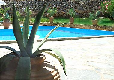 The pool - perfect spot for relaxing and unwiding