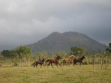 Holiday Apartment in la piedra (El Seibo) or holiday homes and vacation rentals