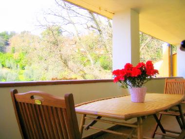 Holiday Apartment in Campiglia Marittima (Livorno) or holiday homes and vacation rentals