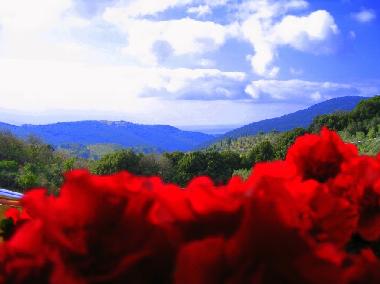 Holiday Apartment in Campiglia Marittima (Livorno) or holiday homes and vacation rentals