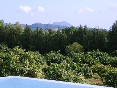 Holiday House in Manacor (Mallorca) or holiday homes and vacation rentals