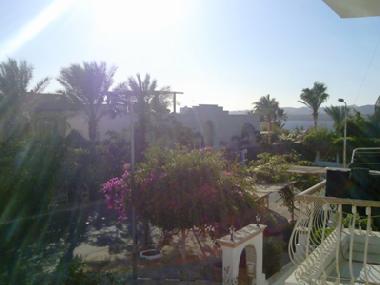 Holiday Apartment in Sharm el Sheikh (Janub Sina') or holiday homes and vacation rentals